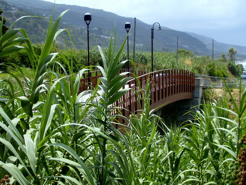 Longobardi - Il ponticello