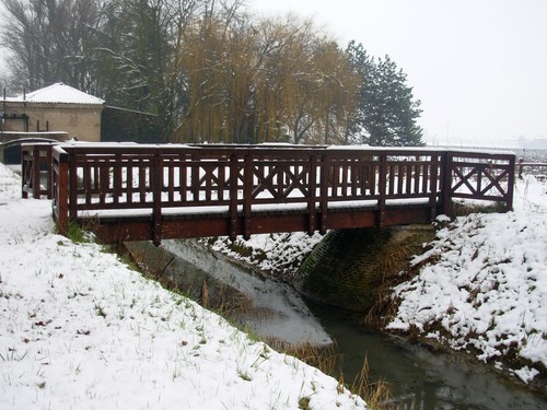 13076-800x600 13076-800x600