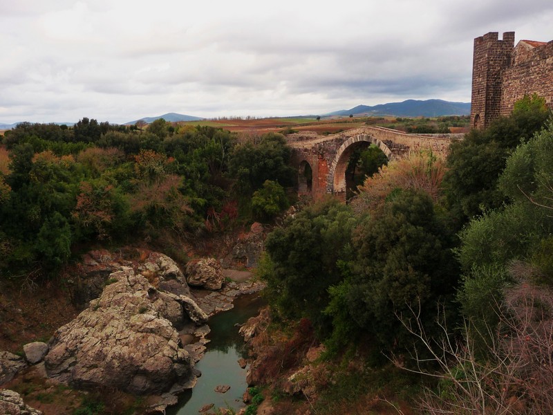 ''vicino al ponte c’è (un) canino!!!!'' - Canino