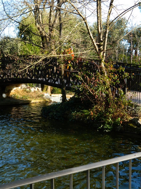''antico ponte in ferro attraversa il laghetto della villa di chieti,parco pubblic'' - Chieti