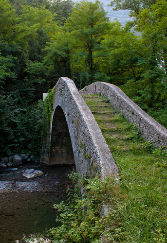 13922-549x800 13922-549x800