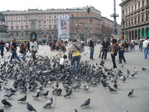 piazza Duomo