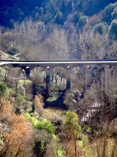 14103-599x800 14103-599x800