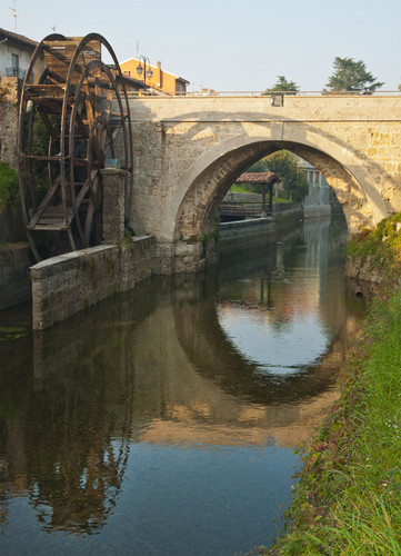 14205-577x800 14205-577x800