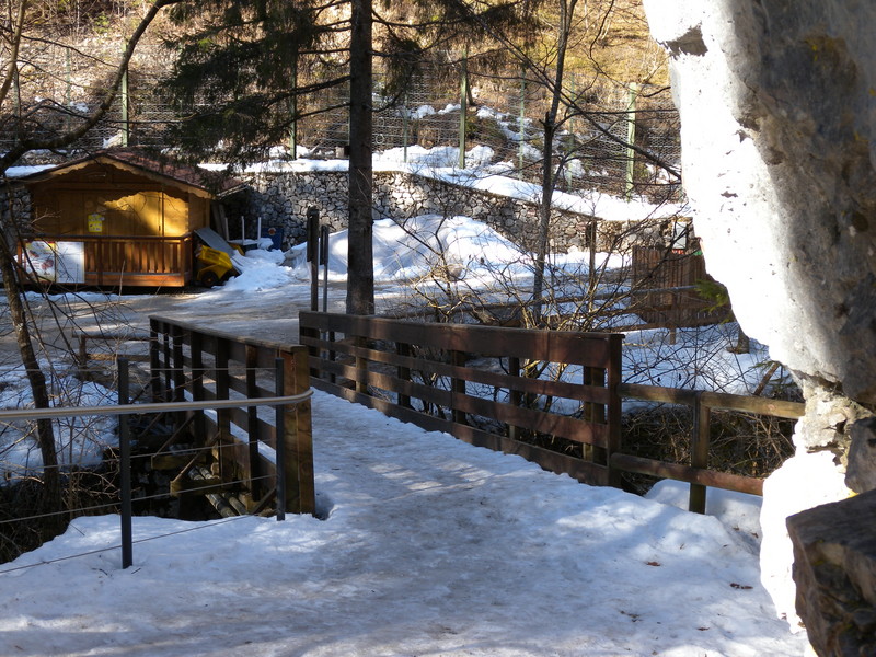 ''Nel bosco…'' - Coredo