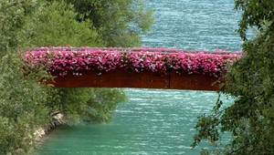 Ponticino fiorito sul Rio Massò