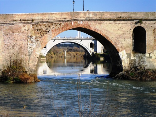 16410-800x600 16410-800x600