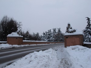 I guardiani del ponte