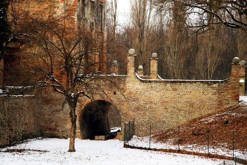 16536-800x533 16536-800x533