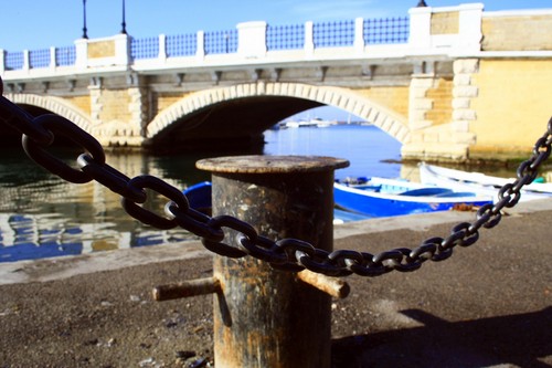 16764-800x534 16764-800x534