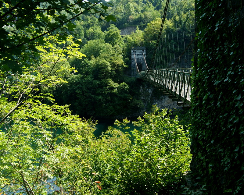 ''Immerso nel verde'' - Arsiè