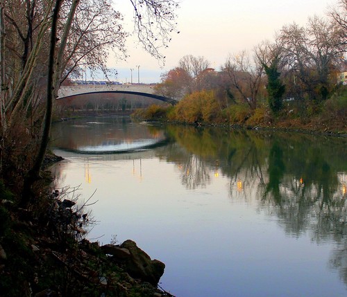 17793-800x687 17793-800x687