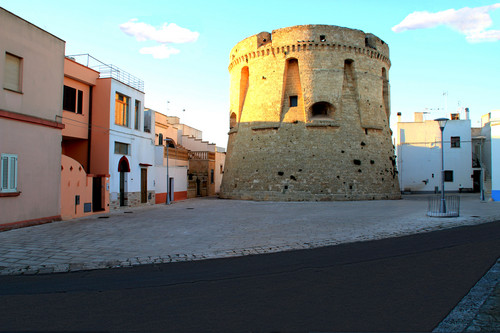 17811-800x533 17811-800x533