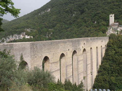 OLYMPUS DIGITAL CAMERA OLYMPUS DIGITAL CAMERA