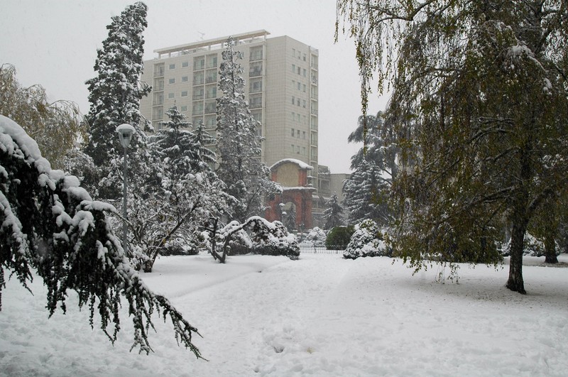 ''Sognando l’estate'' - Alessandria
