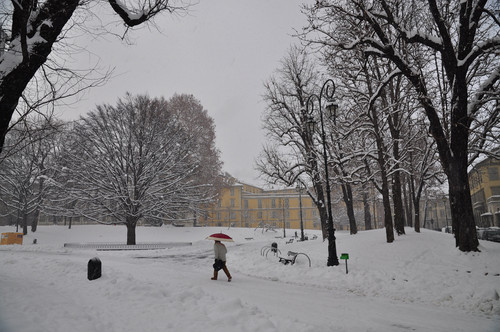 Torino Piazza Cavour Un Giardino Imbiancato