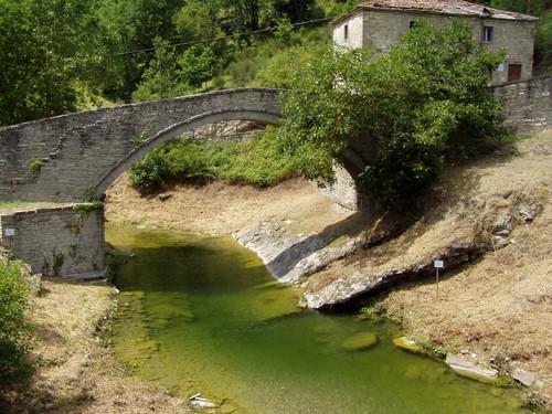 21899-800x600 21899-800x600