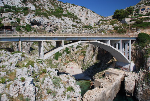 22149-800x537 22149-800x537