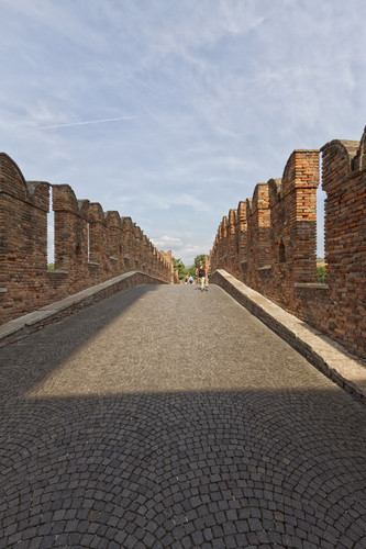 22263-533x800 22263-533x800