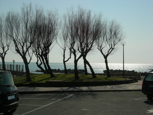 23323-800x600 23323-800x600