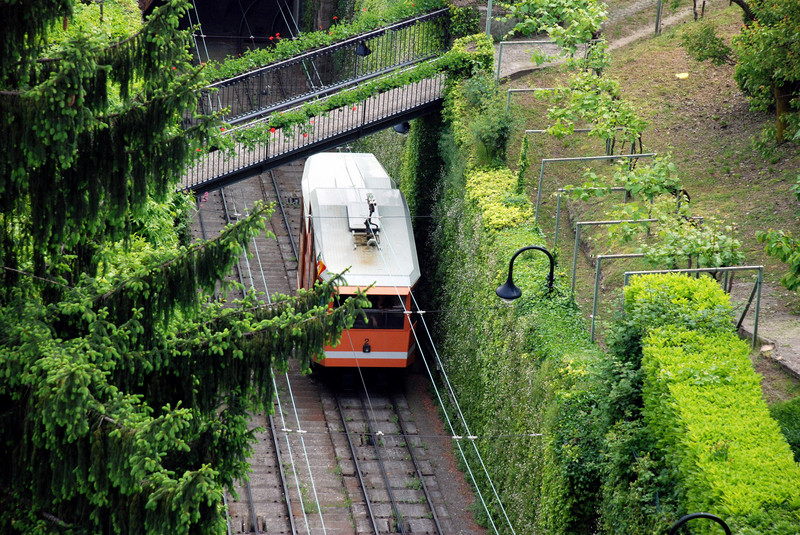 ''“La passerella”'' - Bergamo
