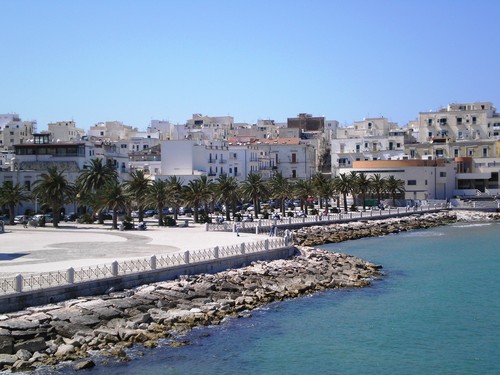 OLYMPUS DIGITAL CAMERA OLYMPUS DIGITAL CAMERA