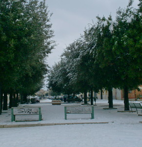 Neve sul Giardino della Piazza
