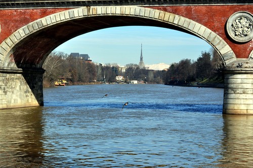 24021-800x531 24021-800x531