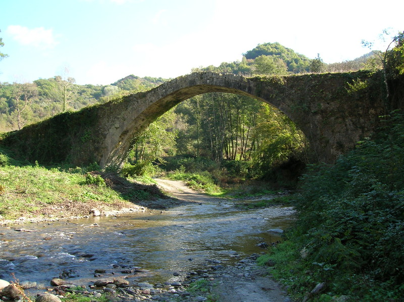 ''Il Ponte Annibale'' - Scigliano