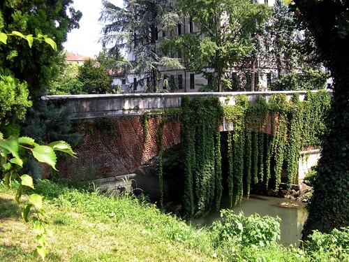 OLYMPUS DIGITAL CAMERA OLYMPUS DIGITAL CAMERA