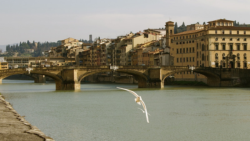 ''Volo libero'' - Firenze