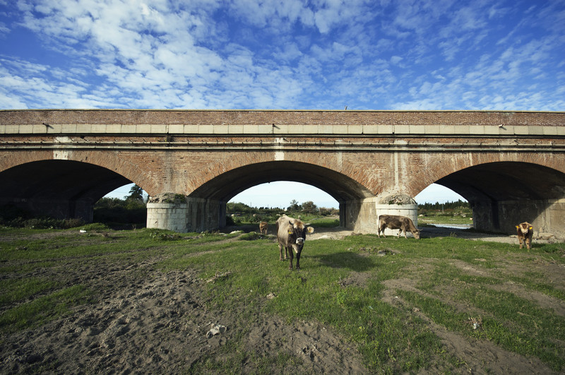 ''Al pascolo sotto il ponte'' - San Pier Niceto