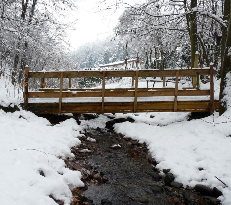 ''Ponte del coccodrillo!'' - Uggiate-Trevano