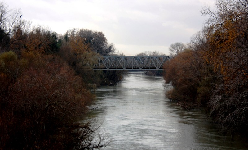 ''sul Sele a Ponte Barizzo'' - Capaccio