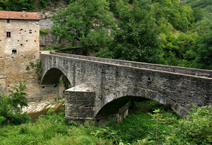il vecchio ponte per la Badia di Susinana