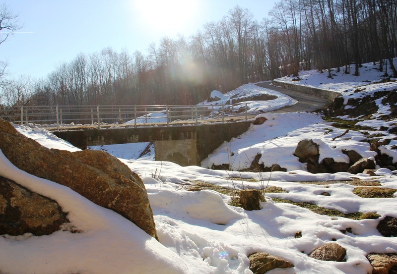 ''Ponte sul torrente Toa'' - Borgiallo