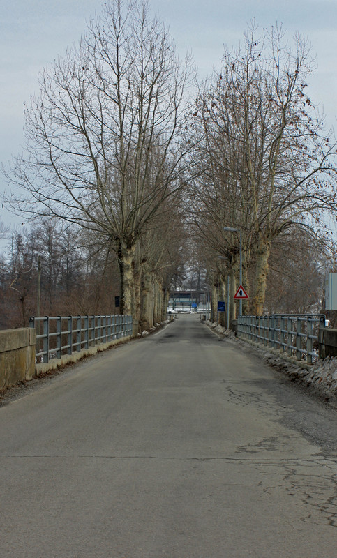 ''Ponte con viale'' - Margarita