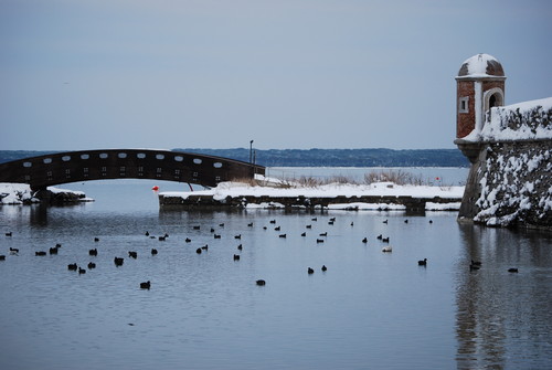 27742-800x537 27742-800x537