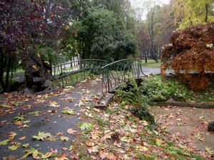 ponticello nel parco del Valentino