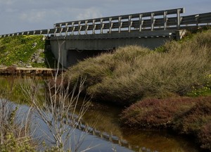 non tutti sono belli… ma si specchiano comunque….