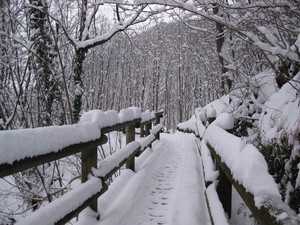 nel silenzio