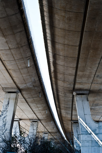 29005-531x800 29005-531x800