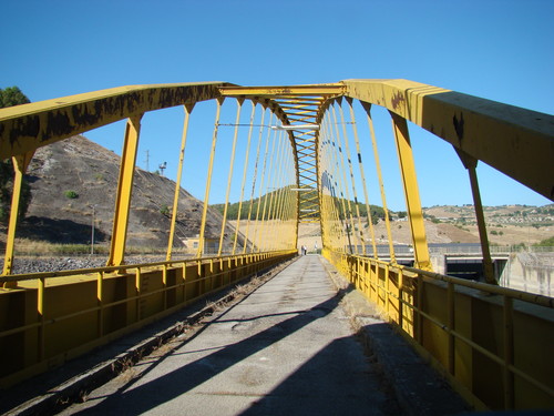 concorso regionale olio 14 ottobre 2010
