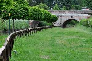 Ne è passata di erba sotto i ponti…