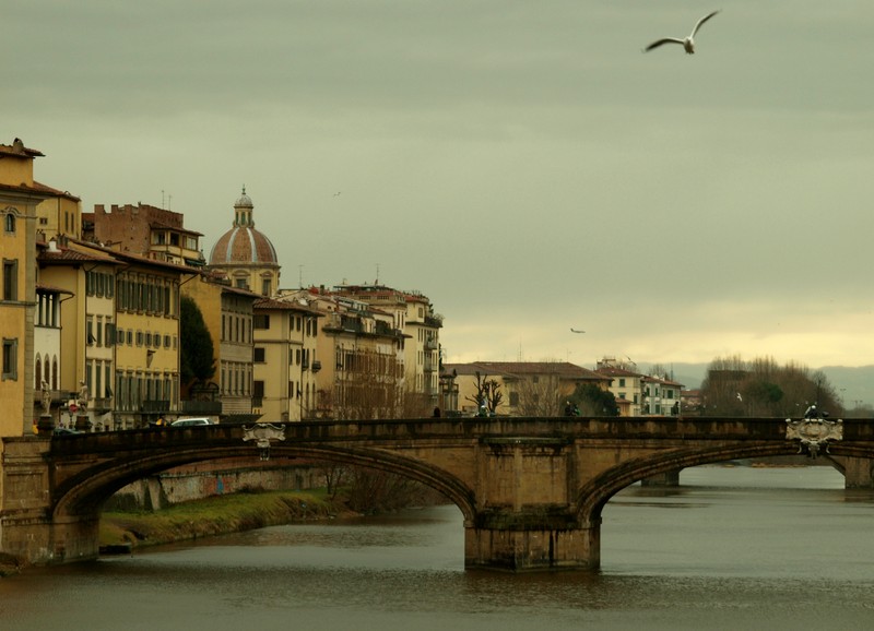 ''L’aereo ed il gabbiano'' - Firenze