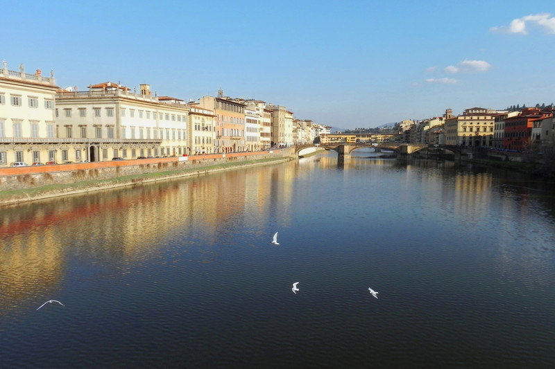 ''Gabbiani sull’Arno'' - Firenze