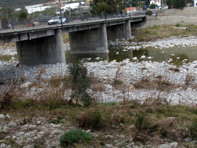 ''Torrente Argentina'' - Taggia
