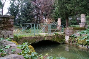 Lungo i sentieri del bosco antico