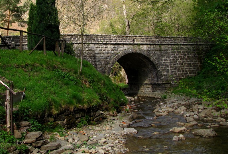 ''Ponte della vecchia strada provinciale'' - Montemignaio