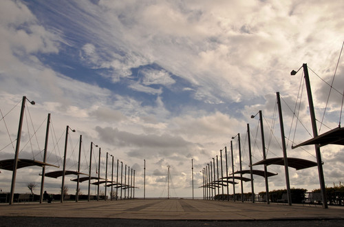 33680-800x529 33680-800x529